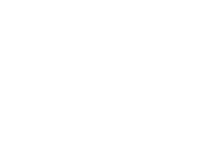 veliev logo